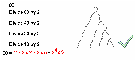 48_Factor trees.png